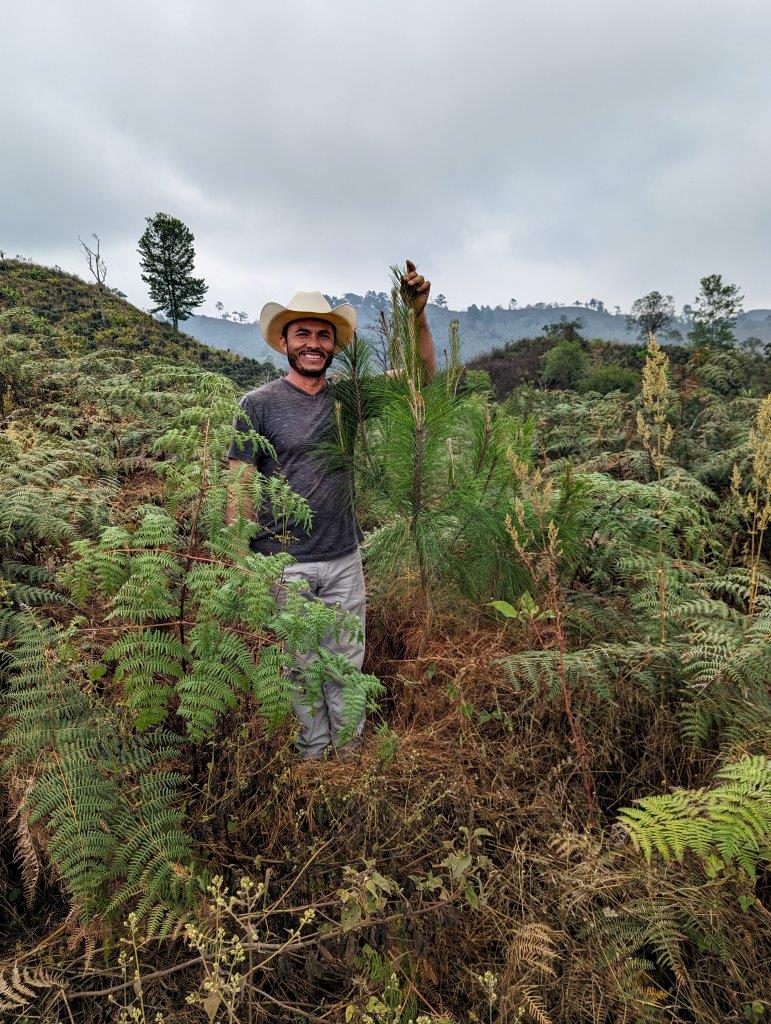 Honduras | La Labor | Dark Roast