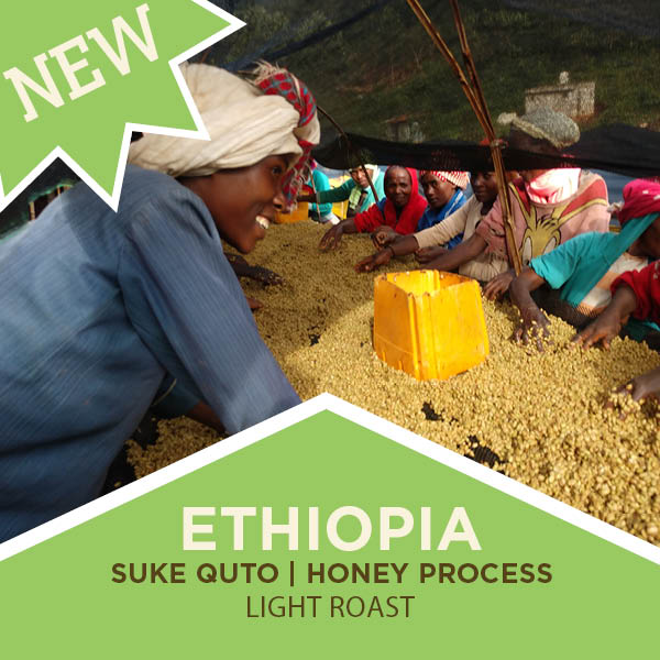 Ethiopia Guji | Suke Quto | Honey Process - Light Roast