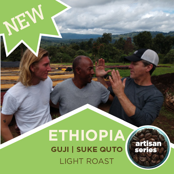 Ethiopia Guji Artisan Series | Suke Quto | Fully Washed | Light Roast